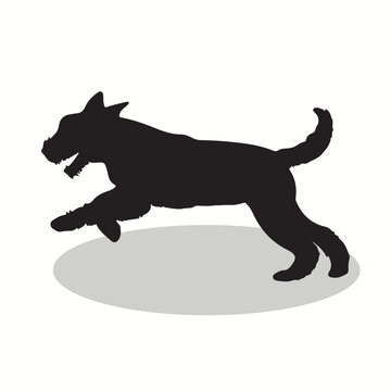 recommend clip art: Airedale Terrier silhouettes and icons. Black flat color simple elegant airedale terrier animal vector and illustration.