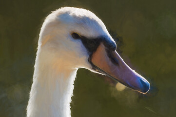 Digital painting of a beautiful white swan captured closeup and in profile.
