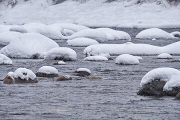 Obraz premium Stones with snow caps in the water of Altai Biya river under heavy snow in winter season