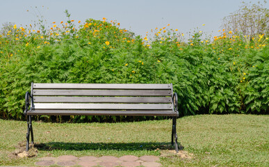 Fototapeta premium Bench in the park with yellow cosmos flowers in the background, Thailand.