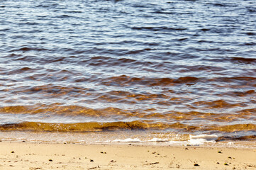 Water's edge on the shore. Wave of blue sea on sandy beach. Beautiful background with water ripples on the beach