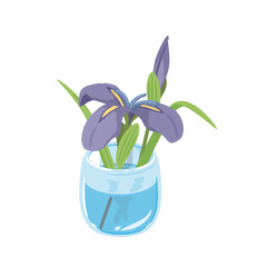 花菖蒲　青紫　生花2