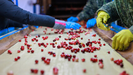 Workshop of big processing facility.