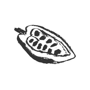 Cocoa bean icon. Hand drawn sketch vector Cacao beans. Cocoa beans isolated. Symbol Bean-to-Bar cacao. Organic product doodle for cafe, label chocolate, cocoa butter badge. Plant part for logo design.