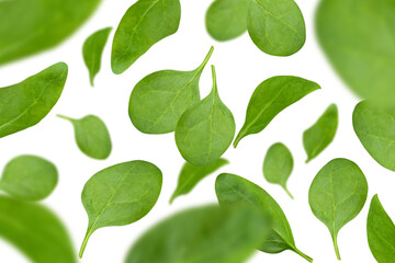 Fototapeta na wymiar Levitation of spinach leaves isolated on a transparent background.
