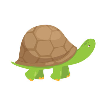 Concept Pet products set with turtle. This is a flat vector concept cartoon design featuring a pet, specifically a turtle. Vector illustration.