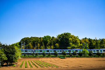 野山を駆け抜ける列車
