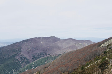 Views from the top of Montseny. Autumn lilac trees. Spanish mountain peaks in Catalonia.