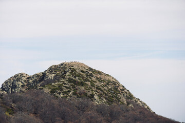Hiking routes in the Montseny. Les Agudes peak. Hikers at the top of the mountain.