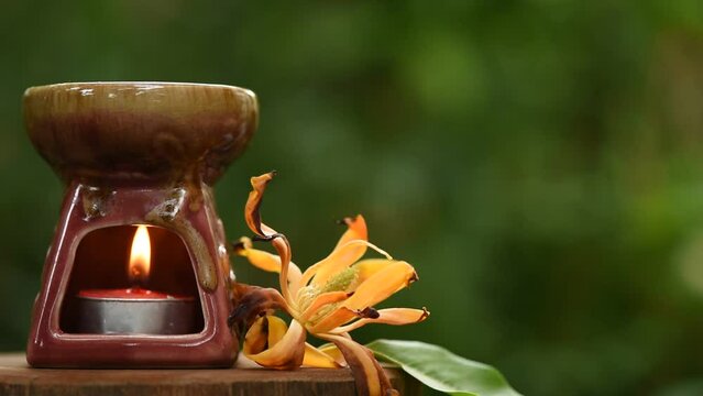 Aromatherapy with magnolia champaca flower and aroma burner on nature background.