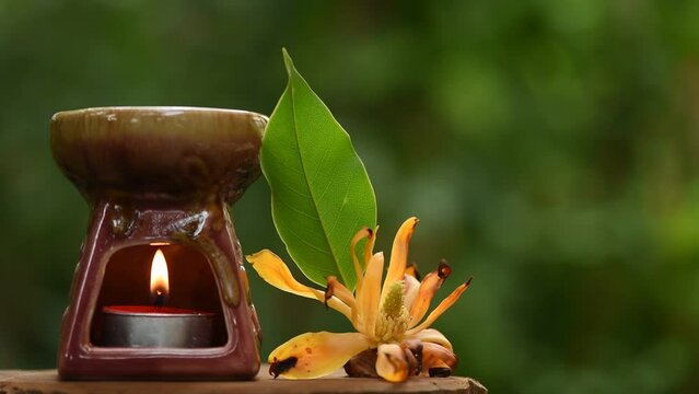 Aromatherapy with magnolia champaca flower and aroma burner on nature background.