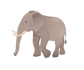 Naklejka premium Concept Fauna animal elephant. This is a flat vector illustration featuring a cute cartoon elephant, part of a fauna-themed design. Vector illustration.
