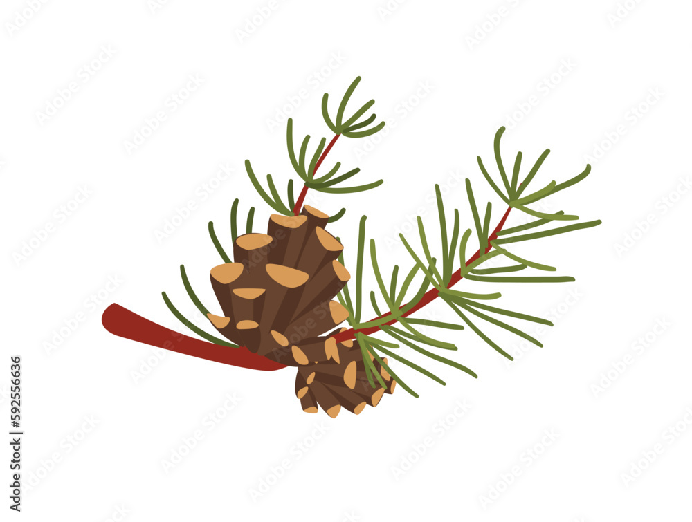 Poster concept hello autumn pine tree cone branch. this illustration is a flat vector design with a cartoon