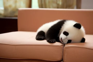 Wandaufkleber cute panda sleeping on the sofa © imur
