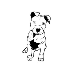 Vector sketch hand drawn silhouette of a pit bull puppy, doodle style