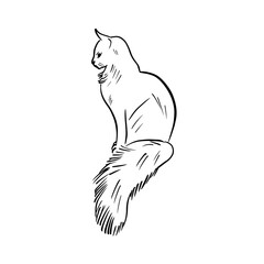 Vector sketch hand drawn silhouette of a cat with a fluffy tail, doodle style