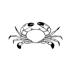 Vector sketch hand drawn crab silhouette, doodle style with black lines
