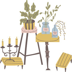 boho interior home pottery plants