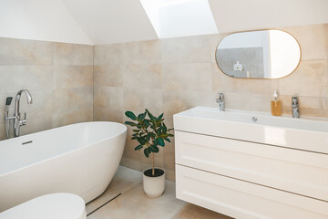 A minimalistic bathroom with standalone bathtub and shower, long sink and ficus plant
