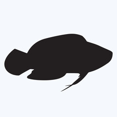 Wrasse silhouettes and icons. Black flat color simple elegant Wrasse animal vector and illustration.