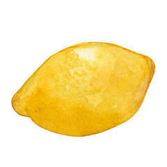 Lemon watercolor hand draw illustration isolated on white background