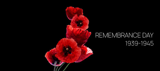 Remembrance Day Banner Template. Red Poppie on a black background.