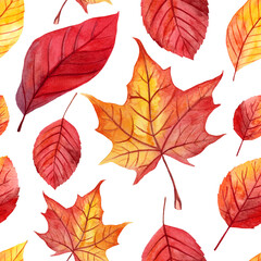 Seamless pattern with hand painted watercolor autumn leaves. Autumn collection,Perfect for your project,wedding,greeting card,photos,blogs,wallpaper,pattern,texture and more