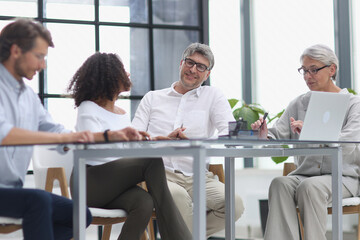 Fototapeta na wymiar Serious team of professionals, business people negotiating in modern boardroom