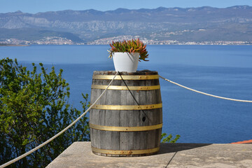 Decorative barrel used as a flowerbed, Vrbnik, Istria, Croatia.