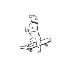 Hand drawn vector abstract graphic line art collection with diverse cute funny cartoon dogs characters.Vector illustration of funny cartoon different breeds dogs in trendy flat style. Line dog icon.