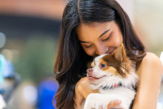 Asian Woman Playing With Her Chihuahua Dog In Cafe At Pets Friendly Shopping Mall. Domestic Dog And Owner Have Fun Outdoor Lifestyle Travel City On Summer Holiday Vacation. Pet Humanization Concept.