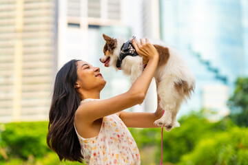 Asian woman playing with chihuahua dog at pets friendly dog park. Domestic dog with owner enjoy urban outdoor lifestyle in the city on summer vacation. Pet Humanization and urban pet parents concept.