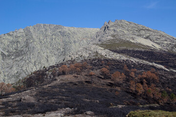 Fire at the foot of a mountain in the Sierra de Gredos, Spain