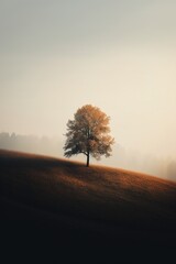 Obraz na płótnie Canvas Superb Minimalism tree in Autumn Landscape, generative IA