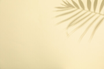 Fototapeta premium Summer time vibes image, vacation and rest in summer days