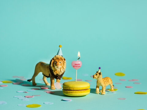 zdjęcie / lew z małym lwiątkiem i świeczką "Happy Birthday"