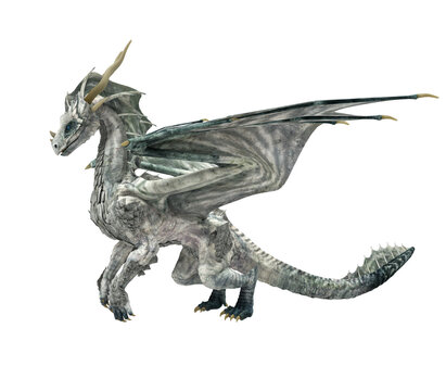 winged white dragon fantasy creature