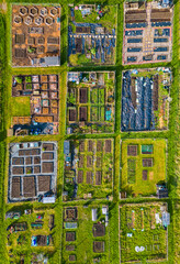 Aerial view of vegetable allotments forming geometric pattern in spring weather