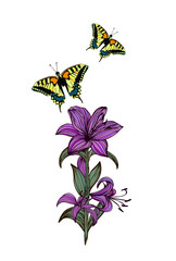 Lily flower graphic with a butterfly. Vector illustration
