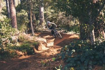 Trail, mountain bike and man cycling in the forest or woods fast, speed and adrenaline in training....