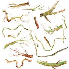 Dry old branches in the garden, forest of various curve shapes watercolor set