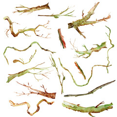 Dry old branches in the garden, forest of various curve shapes watercolor set © Екатерина Голоднюк