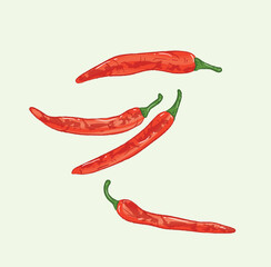 Whole raw red chilies food ingredient illustration