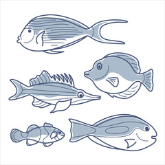 Set of vector outlineline illustrations of sea fishes with partial fill.