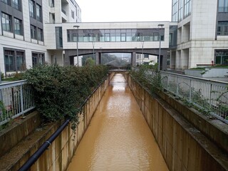 bridge over the river