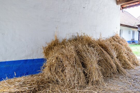 Sheaves of grain by the wall of a house - rural concept