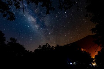 Fototapeta premium Low angle shot of a bright starry night sky over a field with trees