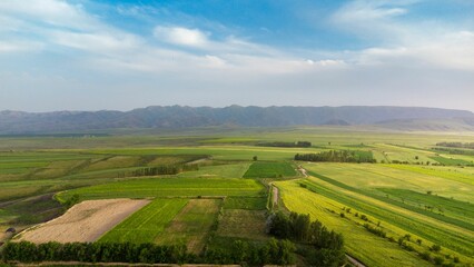 Fototapeta na wymiar Bird's eye view of green cultivated fields in the countryside