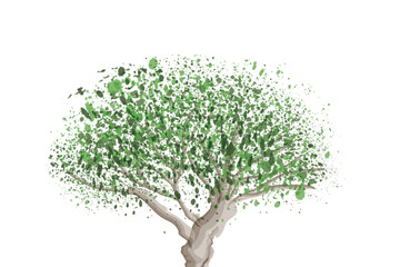 Fototapeta premium Watercolor Tree Illustration drawing vector