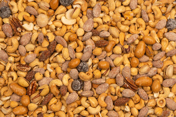 A group of almonds, pistachios, walnuts, macadamia, cashews.